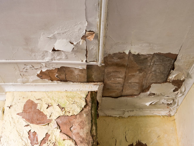 Lifetime Warranty Image